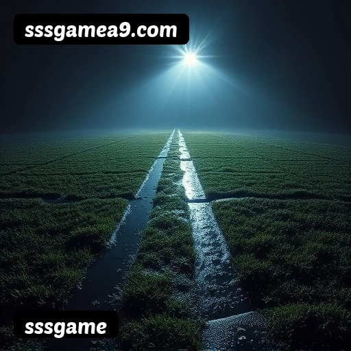 Suporte 24 horas sssgame